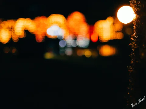 Night Lights